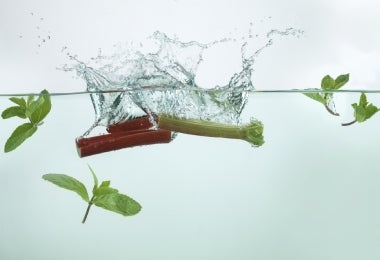 Tallos de ruibarbo sumergidos en agua con hojas de menta fresca flotando alrededor