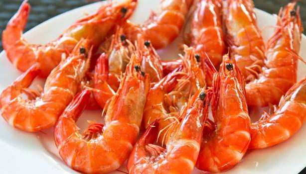 Plato de exquisito langostino